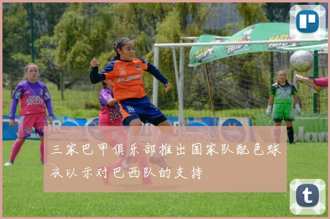 三家巴甲俱乐部推出国家队配色球衣以示对巴西队的支持
