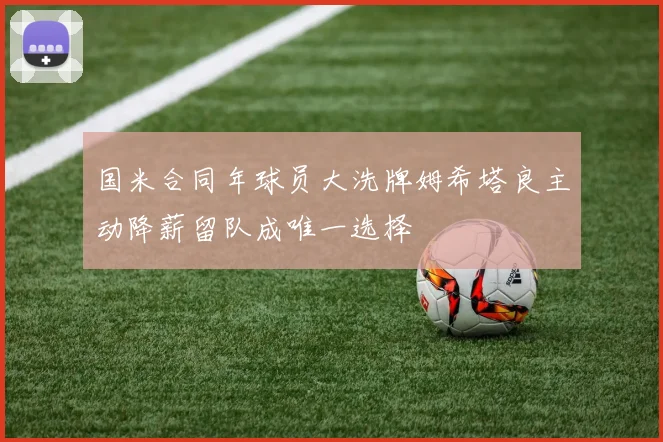 国米合同年球员大洗牌姆希塔良主动降薪留队成唯一选择