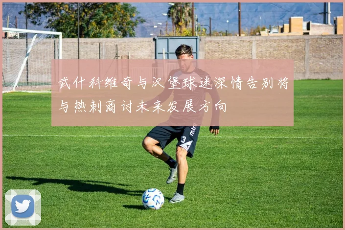 武什科维奇与汉堡球迷深情告别将与热刺商讨未来发展方向